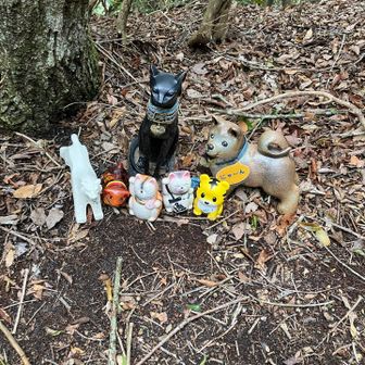 どうぶつ大集合〜‼︎