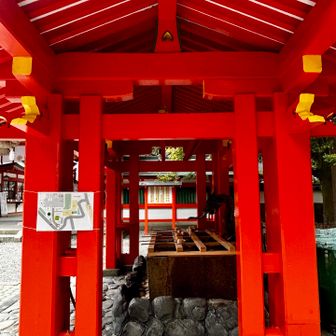 鮮やか✨
赤も200色あるんやで〜アンミカ