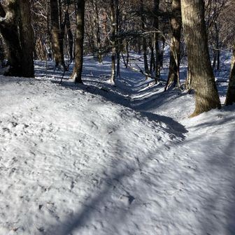 ちょっとショートカット