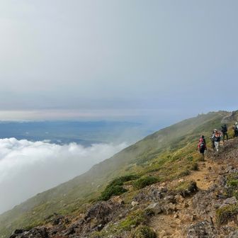 まあ、ここまで来ちゃったから下山継続。