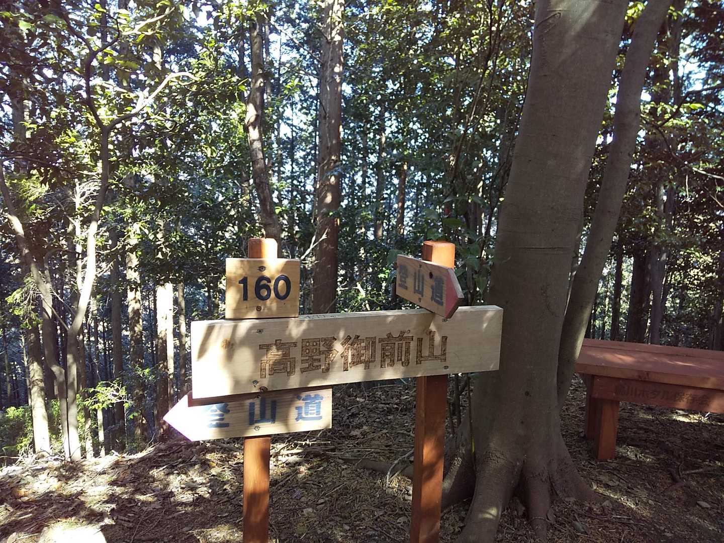 額堂山-森ヶ嶺登山口-森ヶ嶺-ふっこし峠-高野御前山-まさ 周回コースの写真