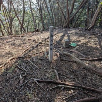 山頂看板を探します✨