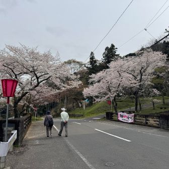 何枚もパシャリ📷✨