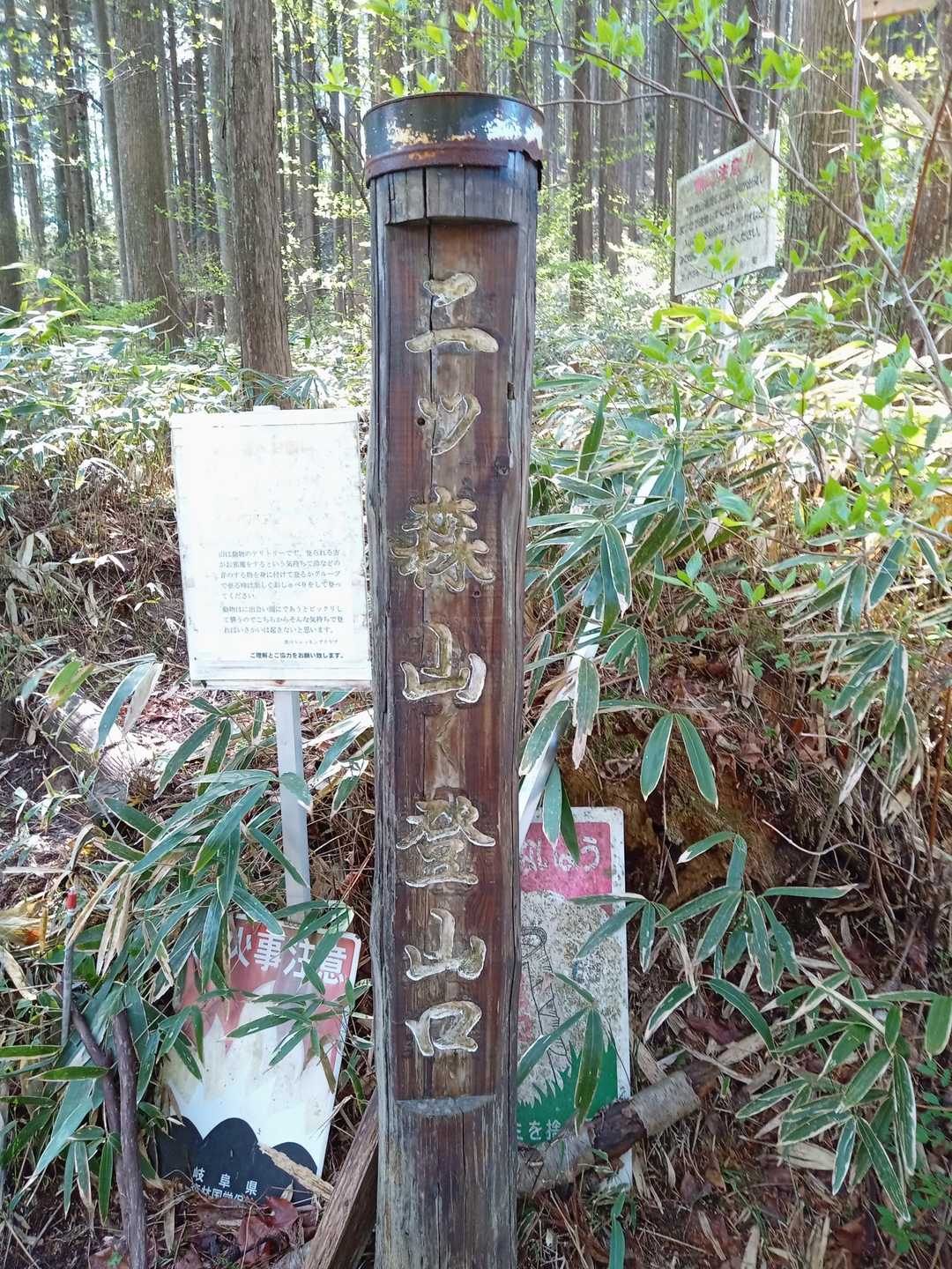 登山口は、駐車場の眼の前で便利