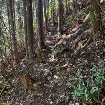 最初から急登⛰️