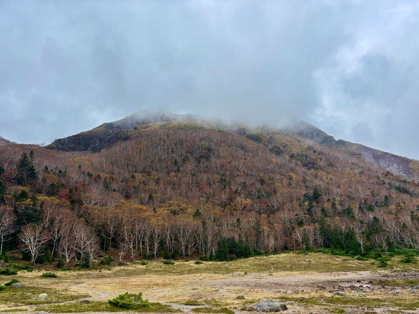 白根山は雲隠れ