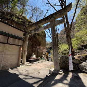 ココにも金櫻神社の鳥居