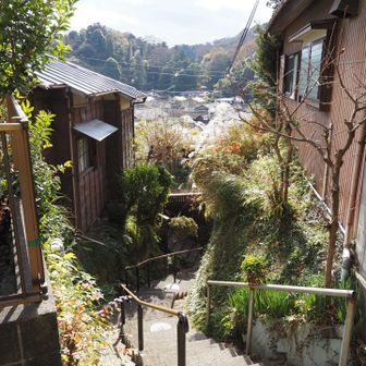 雰囲気良いが、住むのはたいへんそう
