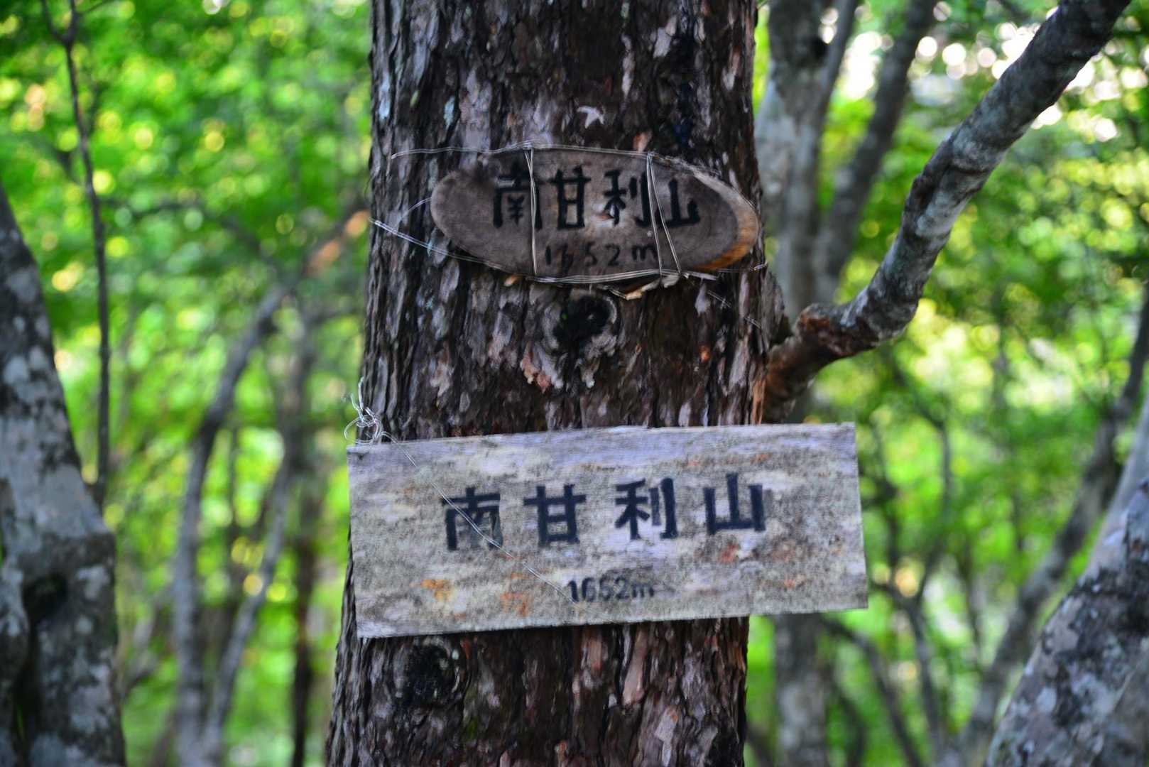 多分もう来ない南甘利山。