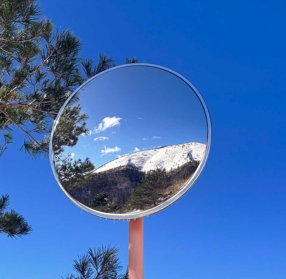 鉢伏山 往復コースの写真