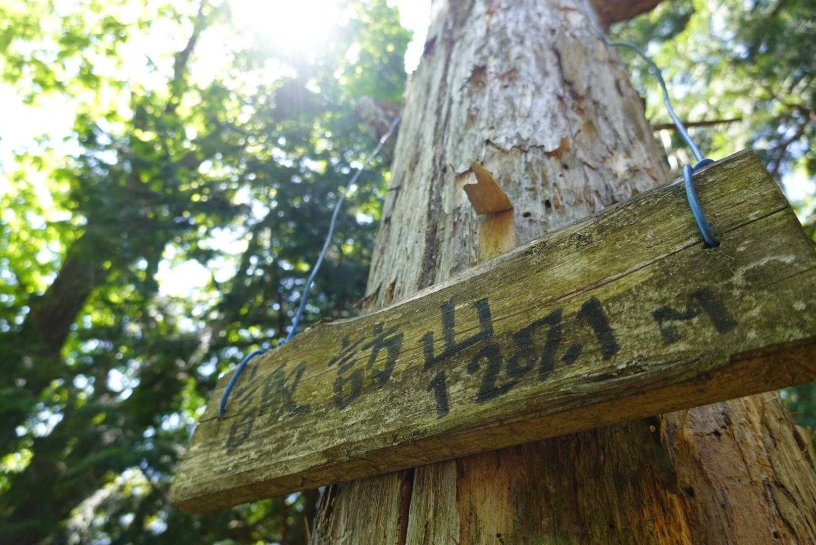 諏訪山登山口-諏訪山 周回コースの写真