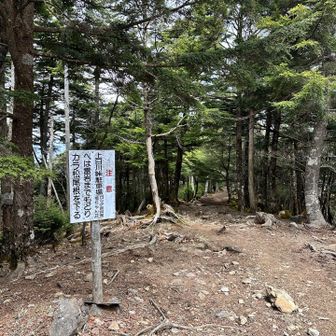 ここでほとんどの人が引き返していました。
