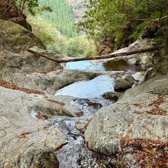 先ほどの滝の落ち口付近を渡渉