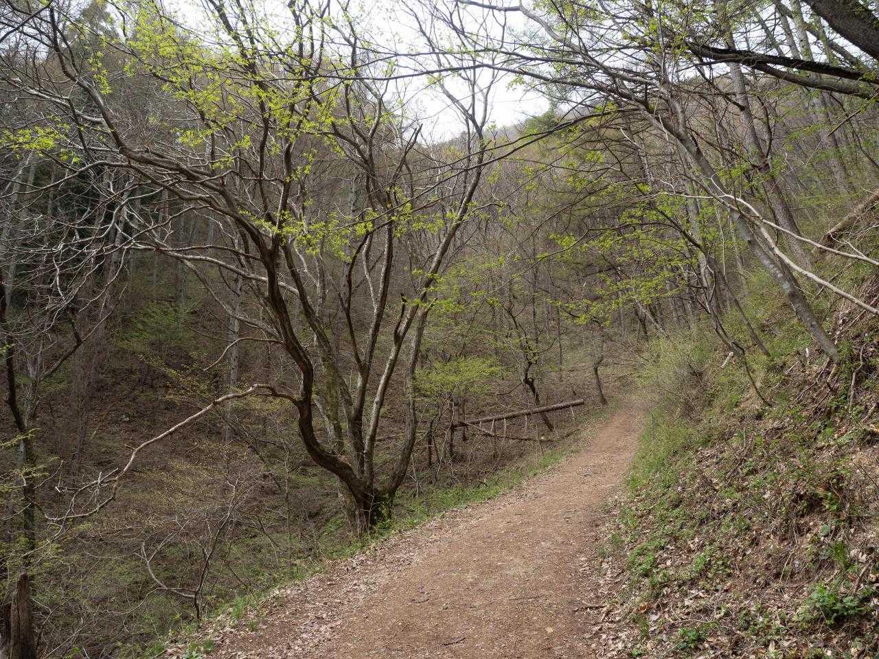 表参道登山口-太郎山-裏参道登山口 縦走コースの写真