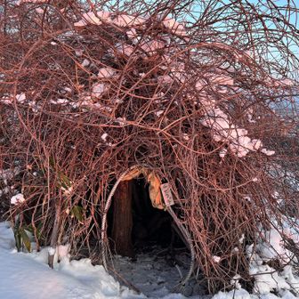 朝日を浴びるチセクッチ