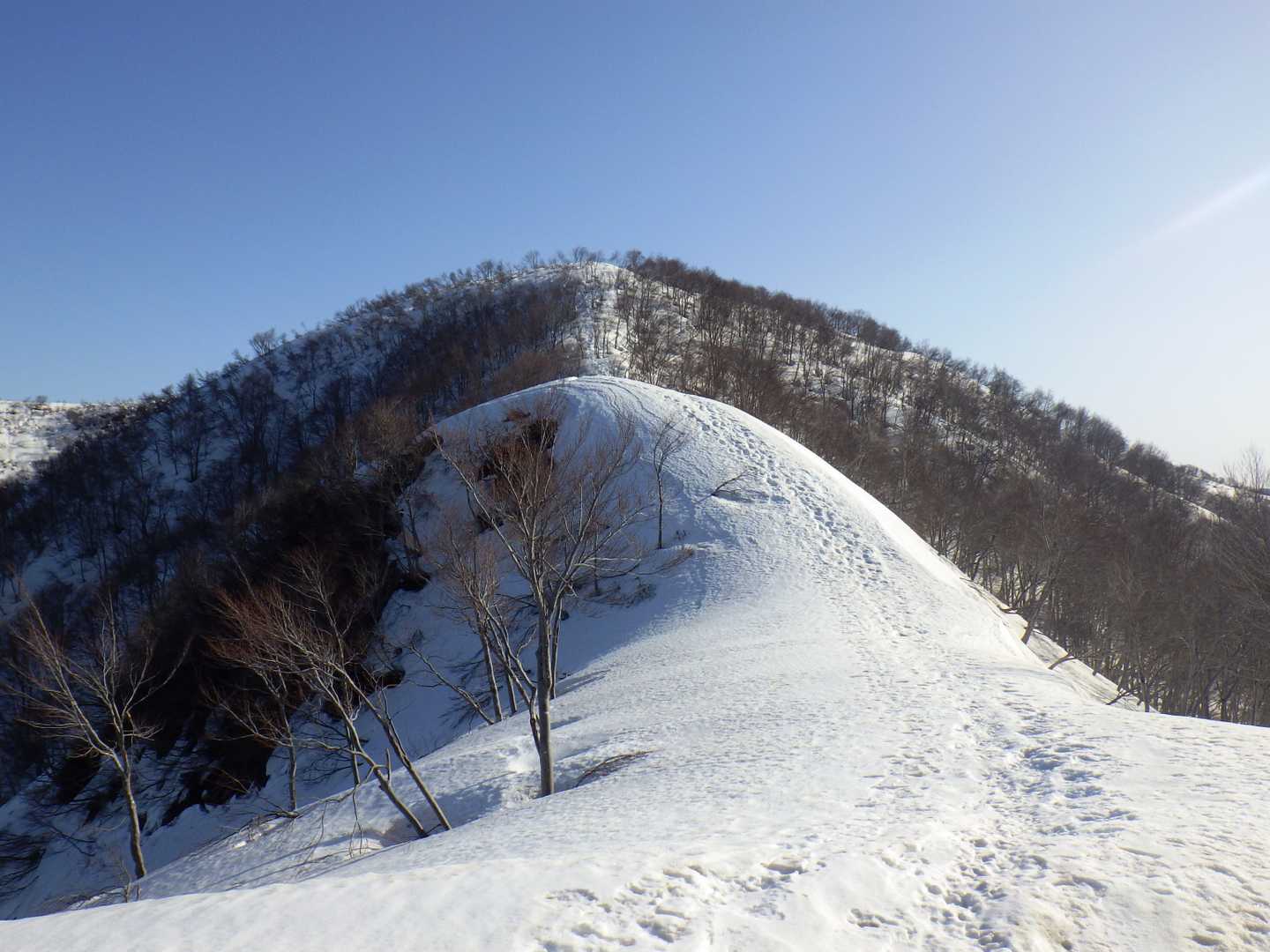 大地山へのビクトリーロード