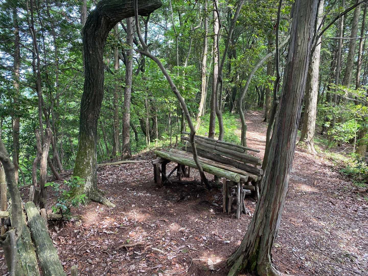 御望山 往復コースの写真