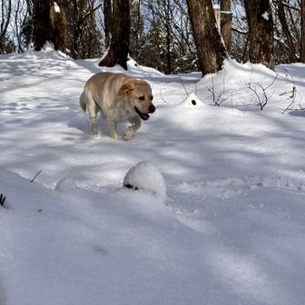 気持ちよさそう