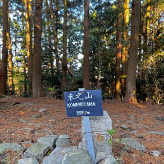 米の山、山頂　とうちゃーく( ´∀｀)