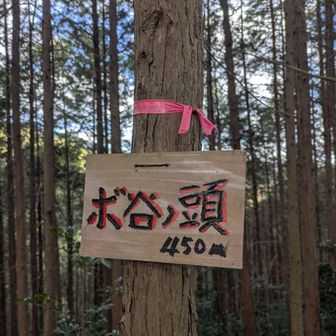 ２座目　ボ谷ノ頭　登頂🙌
第17経塚経由砥石谷で下山します😊