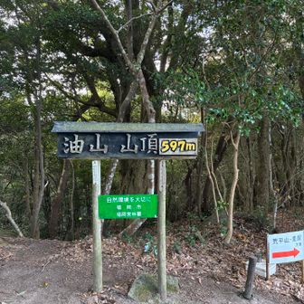 到着〜汗で冷えそう