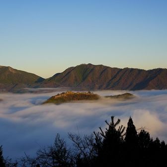 画角一枚では収まらない濃い雲海が一面に浮かんでいます😄