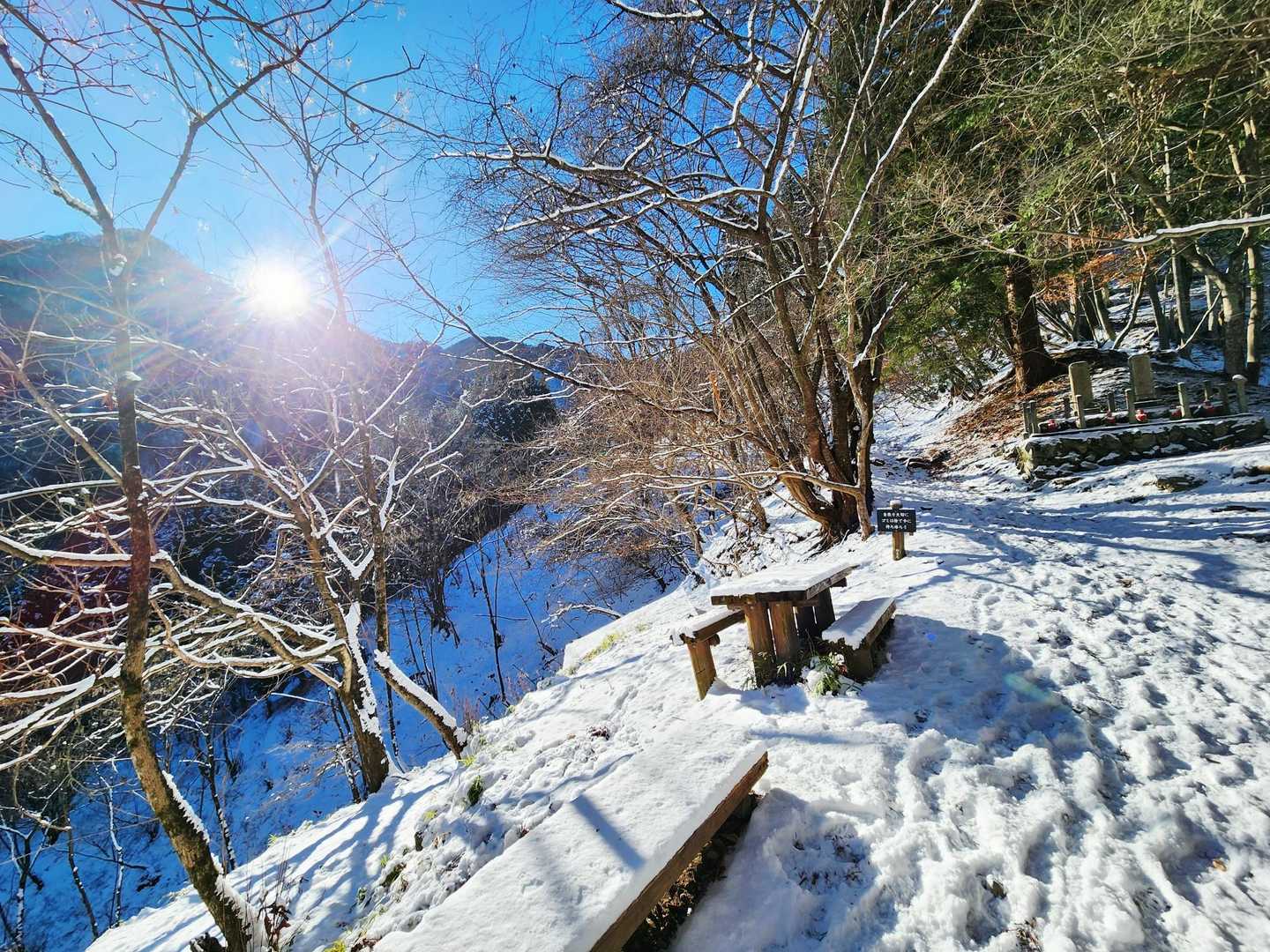 大輪バス停-妙法ヶ岳 往復コースの写真