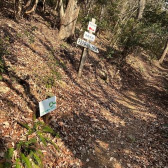 トレランレースのコースか🙄