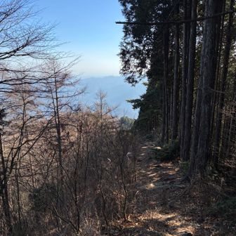 鳩ノ巣方面へ
ここから初ルート