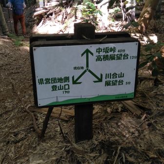 ⬆️3分岐点