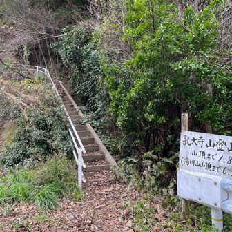 車道を横断した先に登山口
ということで登り返しです💦