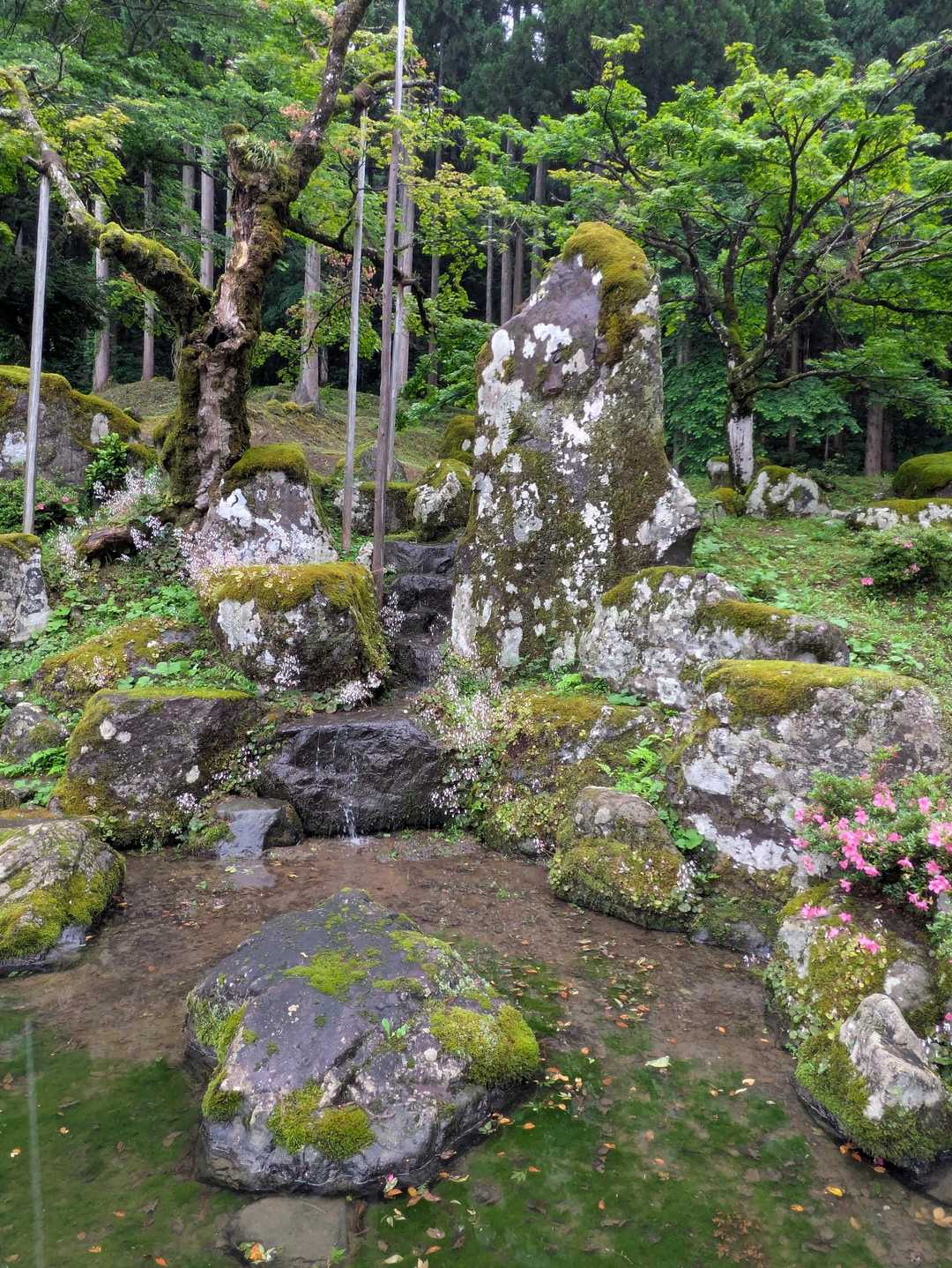 諏訪館跡庭園…　石組みは戦国時代そのまんま！😯
