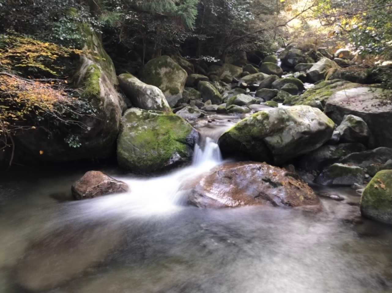 このしっとりした空気が最高です👍✨