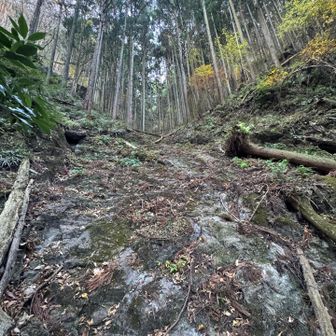 鎖は無くなってた　簡単な岩場