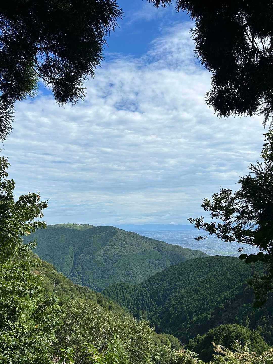 水越峠-金剛山-転法輪寺-金剛山葛木神社 周回コースの写真