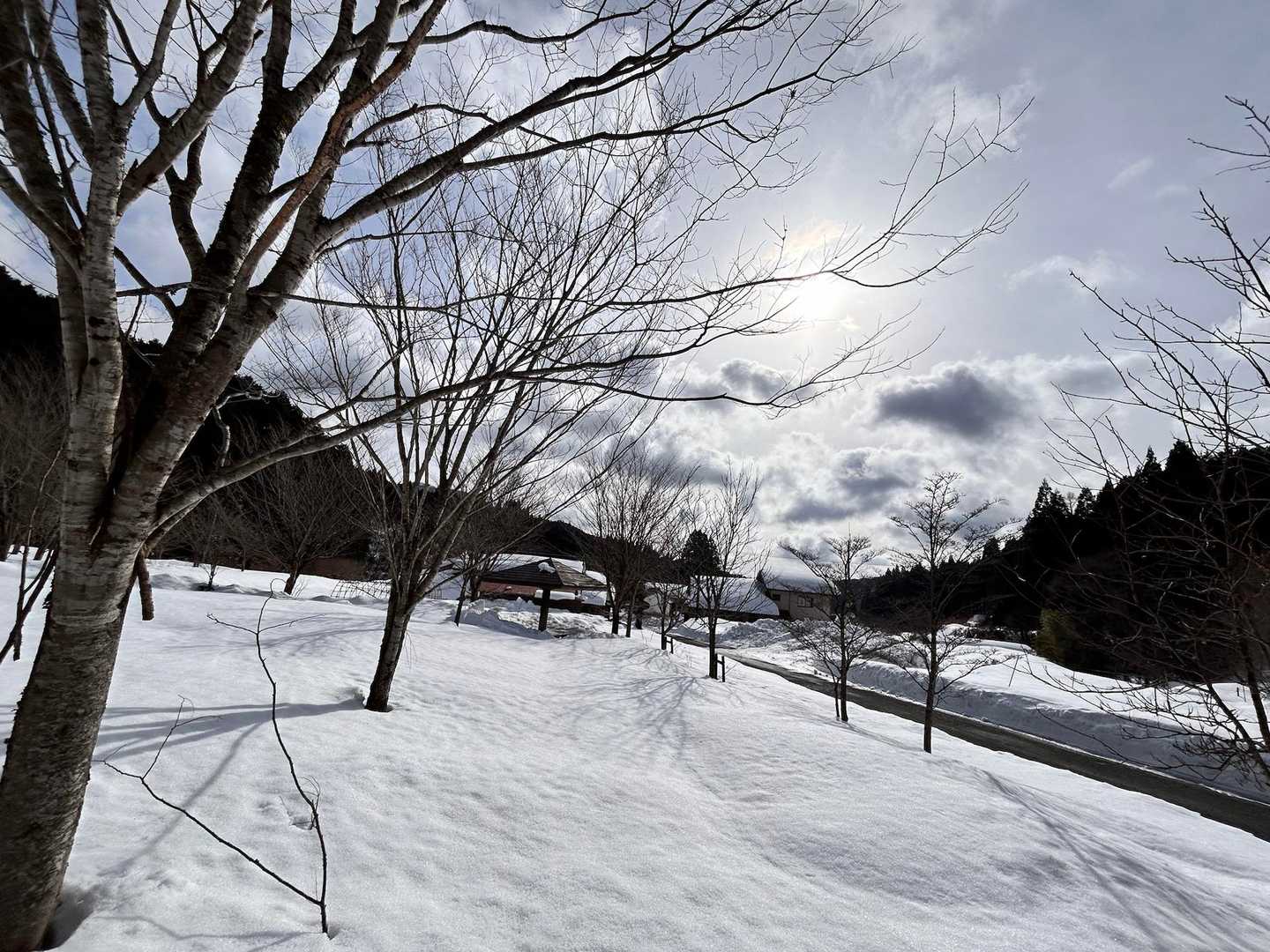 天気予報、数日前はあまり良くなかったけど☀️に変わってました👍🏻
白く輝く雪が綺麗です😊