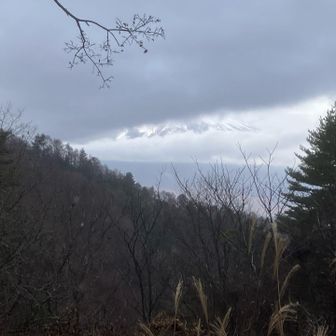 今日の富士はこれだけ😂