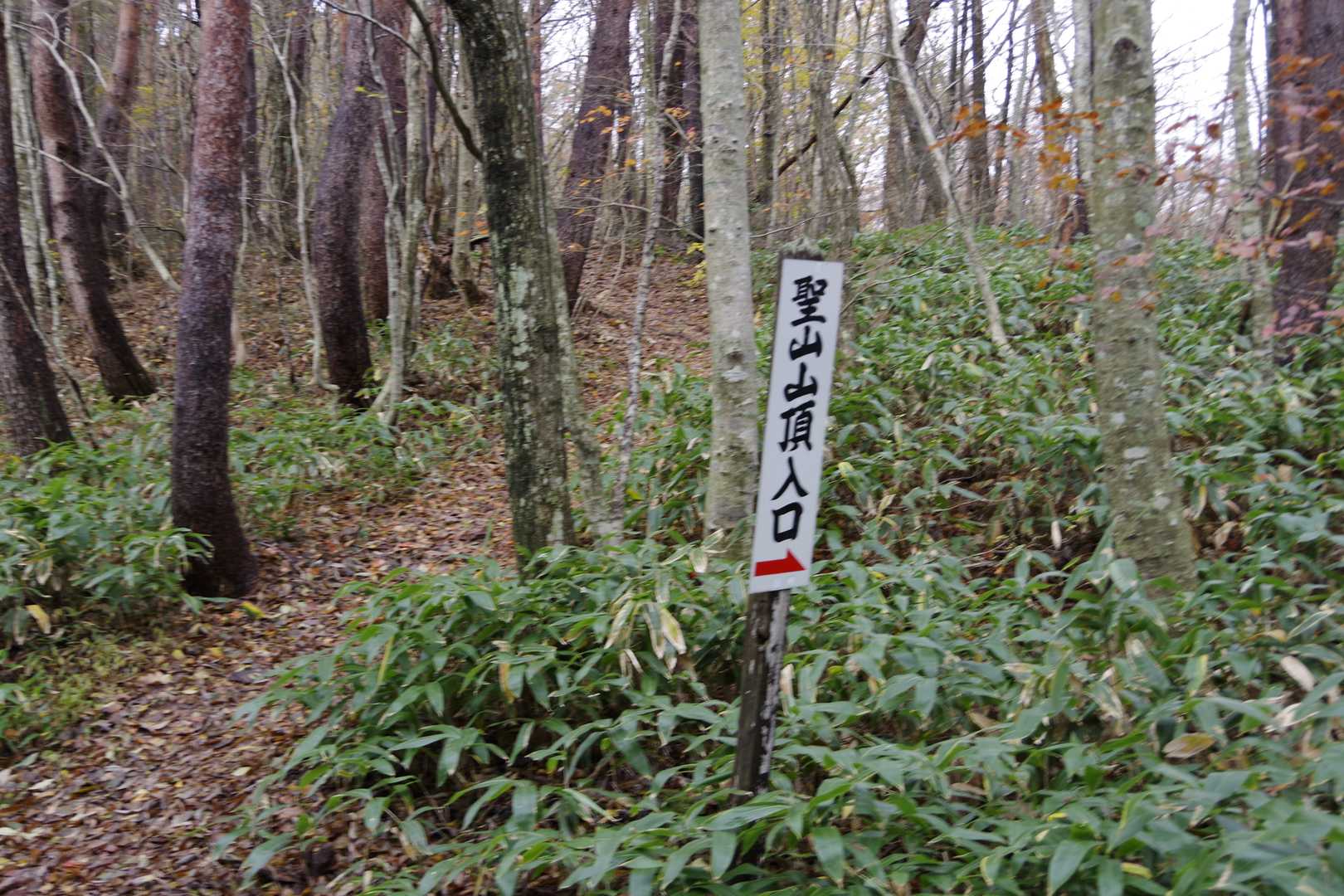 聖山登山口 -十文字峠-聖山-高岳-樽床橋登山口 周回コースの写真