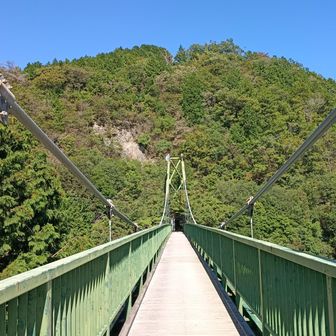 何でこんな山奥に有るの？凄く立派な吊り橋。天気良くて眺めよし