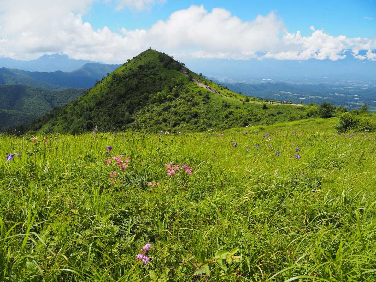 大盛山からの飯盛山
手前はお花畑