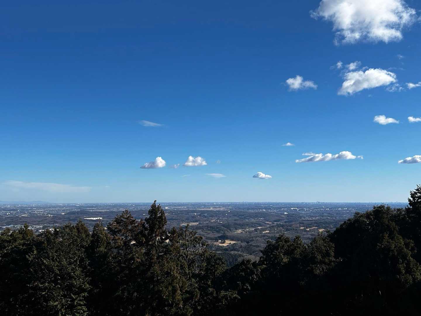 良いお天気