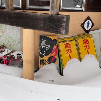 クマはほのおのつめをそうびした