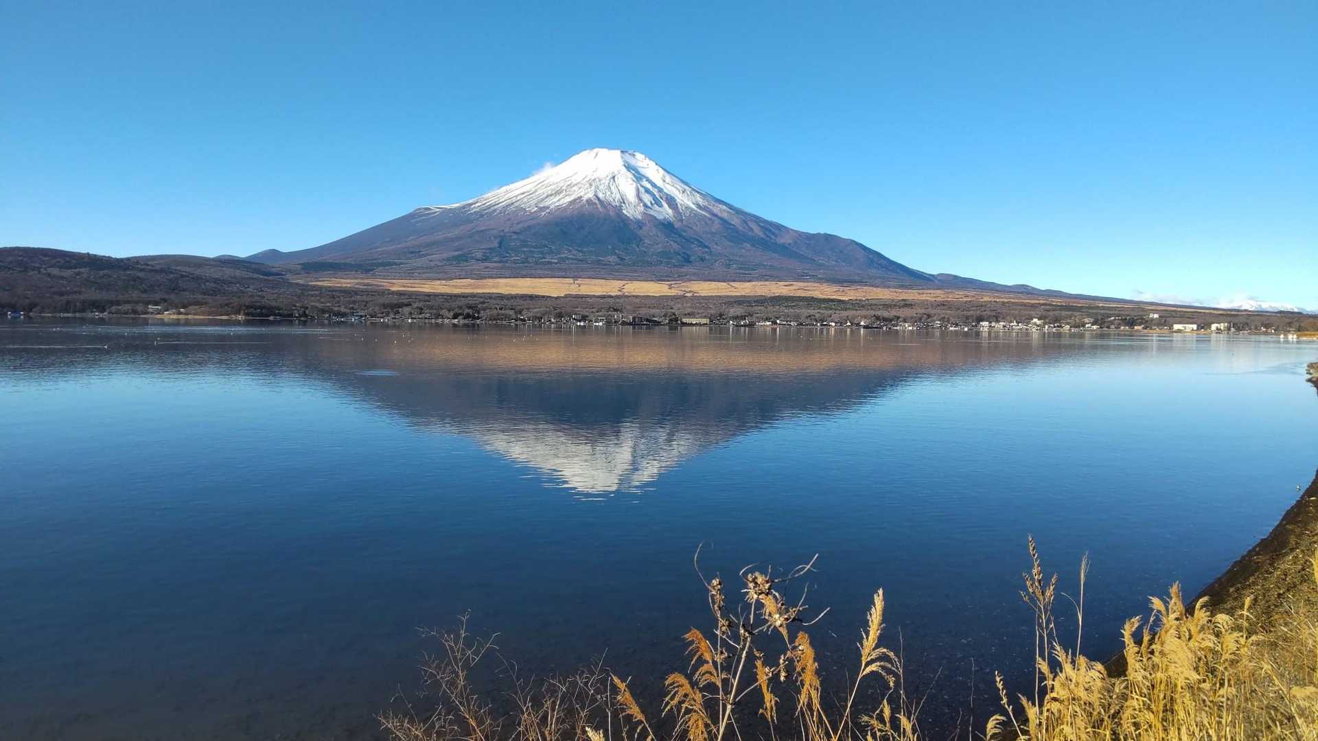 あまりにも綺麗なので何枚も📸