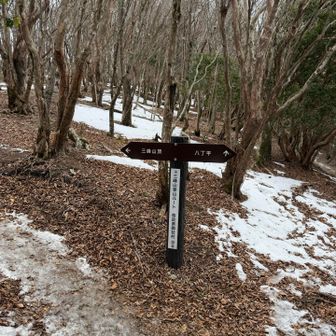 三畝峠にも殆ど雪はありません