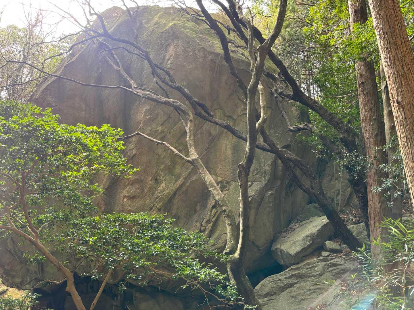 岩谷堂を斜め上から
