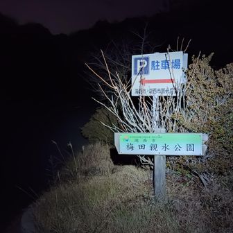 久しぶりの山に緊張してしまい、寝坊したと思って目覚めたらまだ1時😅
そこからレオちゃんのトイレだし2回
一旦布団に入るも、かまってちゃんが始まり🐕‍🦺
結局寝ずに予定の時効になり、3時半に自宅を出発🚙💨

いつもの梅田親水公園には一番手、気温は5度で無風
自宅を出る時は満点の星空でしたが駐車場に着く頃には雲も多く星は見えて無かったー😢

サクッと準備し、今日もよろしくお願いします✊