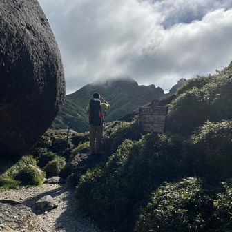 甘酒アイスバー