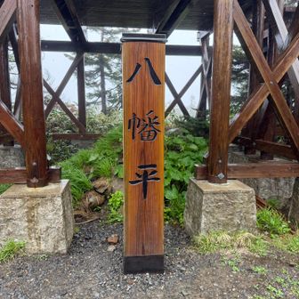 頂上(新しい)