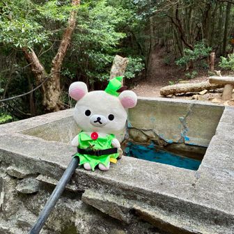 水場…⛲️
渇水状態…💧

風が時折吹いて涼しい…🎐
ピーター君、体調回復…🧙‍♀️