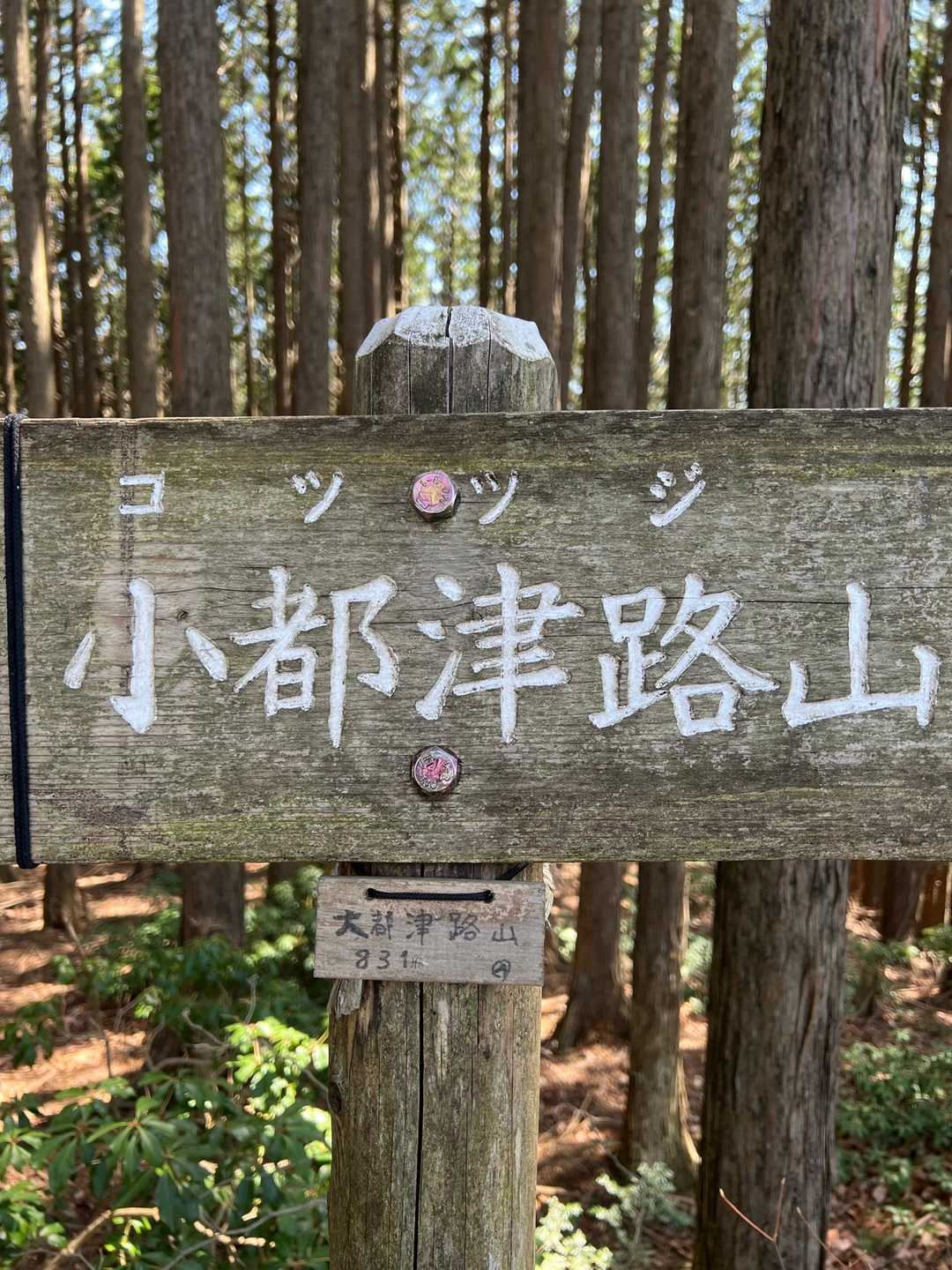 正丸駅-ツツジ山-刈場坂峠-二子山-虚空蔵峠-旧正丸峠 周回コースの写真